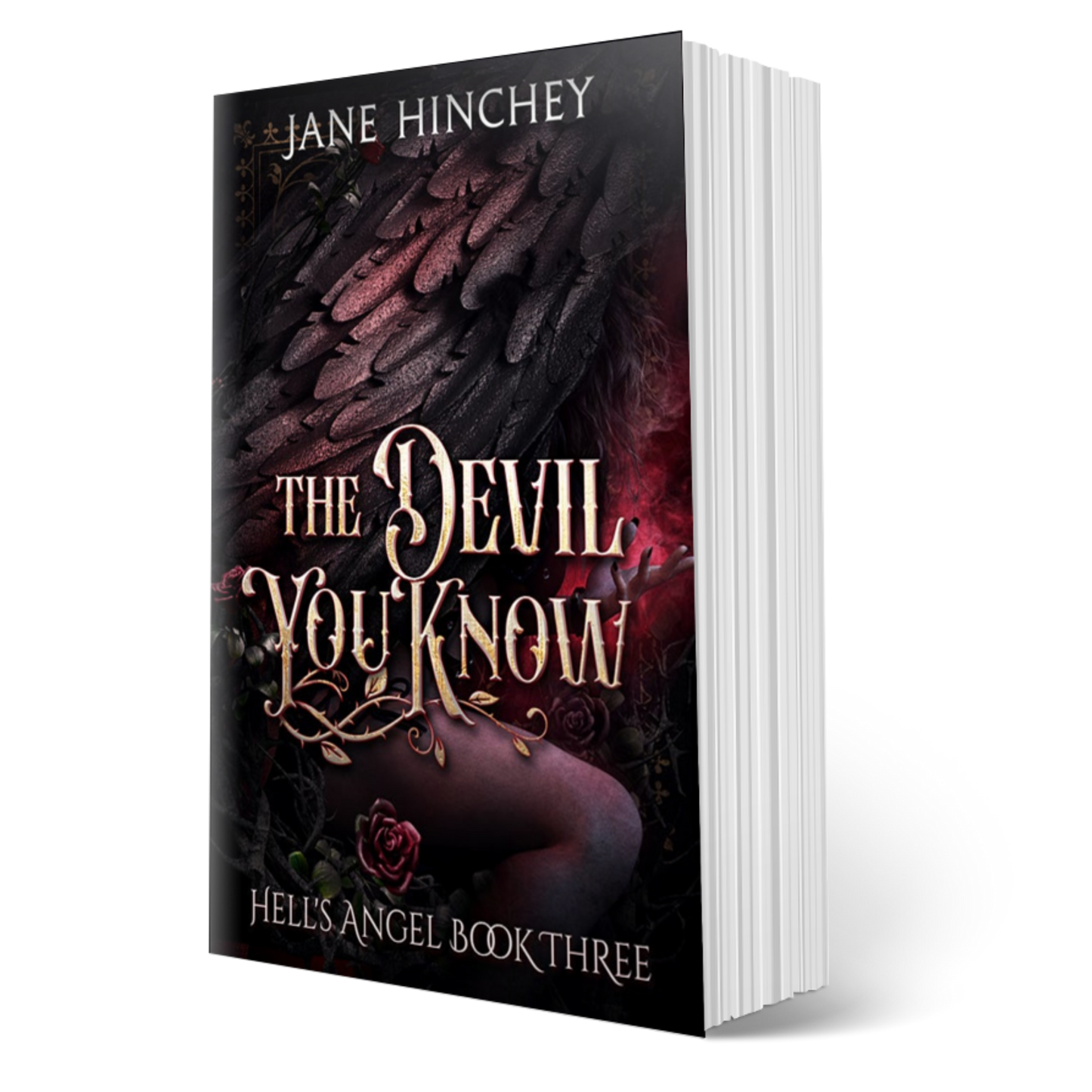 The Devil You Know (Book 3 PAPERBACK)