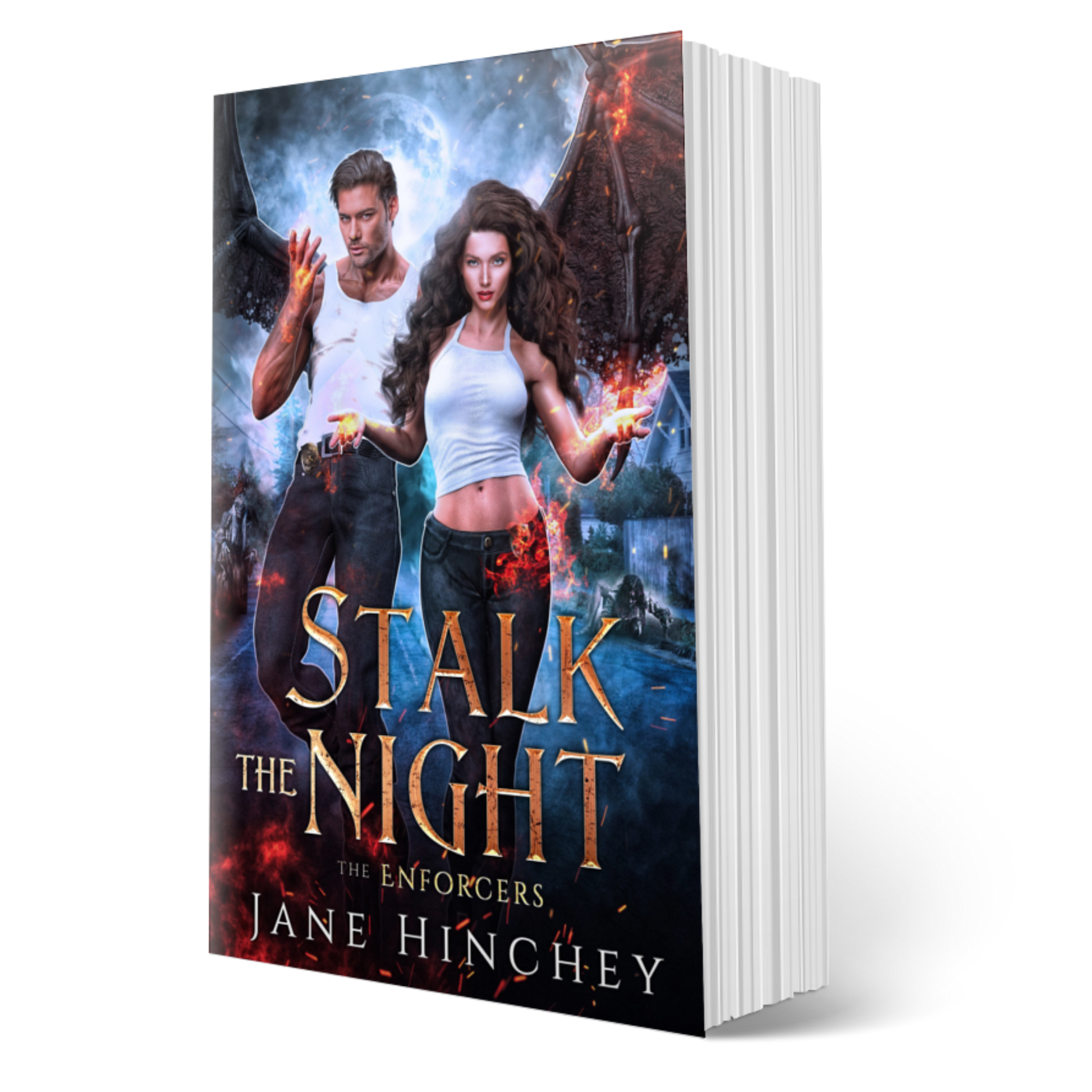 Stalk the Night by Jane Hinchey
